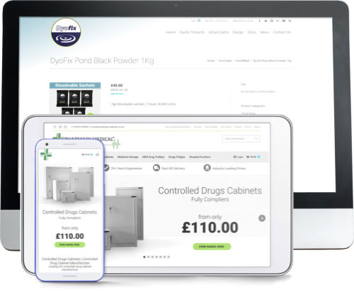 Functions of websites: ecommerce and more